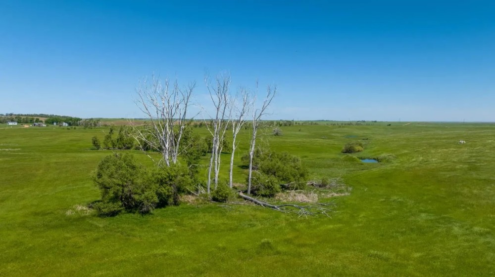 Dodge ND 160 acres featured image