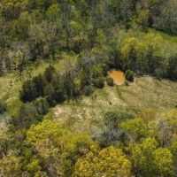 Greasy Creek images 2