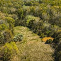 Greasy Creek images 3