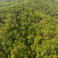 30 - Unrestricted Acres With Big Views From Home Site images 3