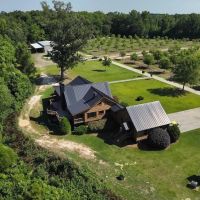 MARKET BASED PRICE IMPROVEMENT 120 acre Pecan Farm with Home For Sale in Bladen County NC images 2