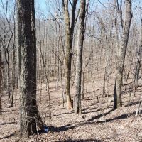 00-001-bogan-mountain-retreat images 4