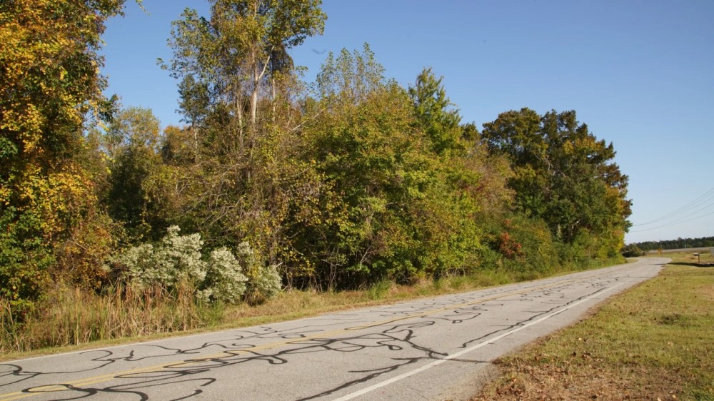 Tyrrell County 15 Acre Corner Lot featured image