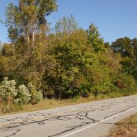 Tyrrell County 15 Acre Corner Lot