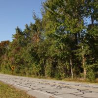 Tyrrell County 15 Acre Corner Lot images 2