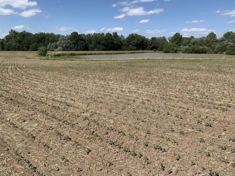 Moberly Whitetail Tract 14 featured image