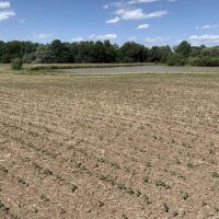 Moberly Whitetail Tract 14