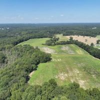 152.77 Acres of Farmland Timberland and Investment Land with Creek Frontage For Sale in Johnston County NC images 2