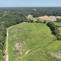 152.77 Acres of Farmland Timberland and Investment Land with Creek Frontage For Sale in Johnston County NC images 3