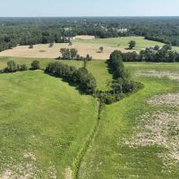 152.77 Acres of Farmland Timberland and Investment Land with Creek Frontage For Sale in Johnston County NC images 4