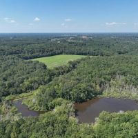 152.77 Acres of Farmland Timberland and Investment Land with Creek Frontage For Sale in Johnston County NC images 5