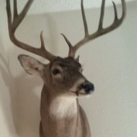 Fredericksburg, TX - Year Round Hunting Lease