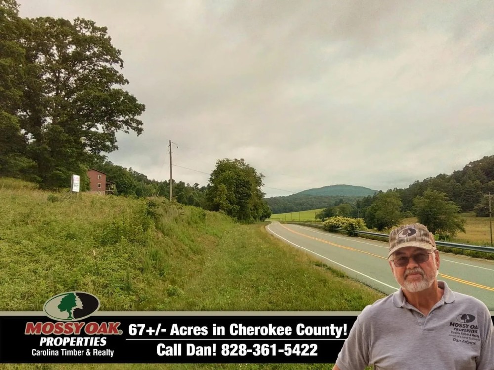 67.47 - Acres with Views Unbelievable Potential featured image