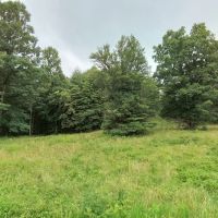 67.47 - Acres with Views Unbelievable Potential images 3