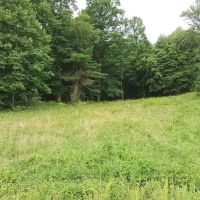 67.47 - Acres with Views Unbelievable Potential images 5