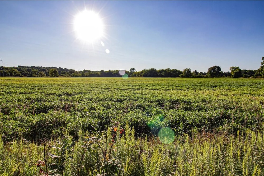 Cain St - 15 acres - Stark County featured image