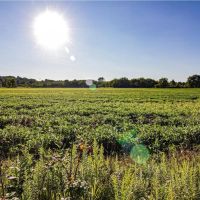 Cain St - 15 acres - Stark County