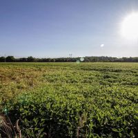 Cain St - 15 acres - Stark County images 2