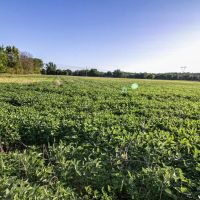 Cain St - 15 acres - Stark County images 3