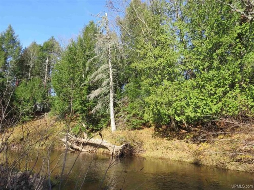 40 Acre Riverfront 50101168 featured image