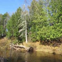 40 Acre Riverfront 50101168