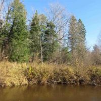 40 Acre Riverfront 50101168 images 3