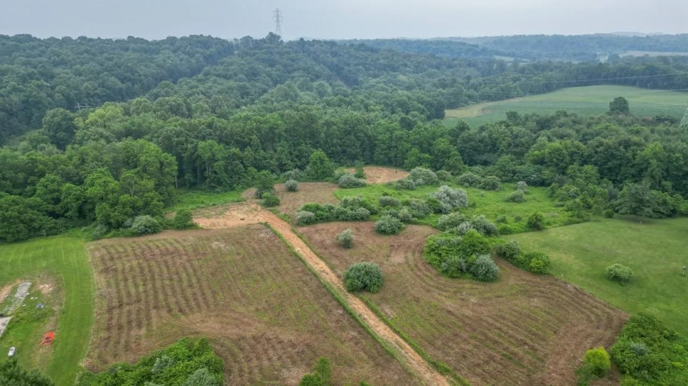 June Marshall Rd - 111 acres - Jackson County featured image