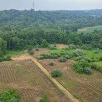 June Marshall Rd - 111 acres - Jackson County