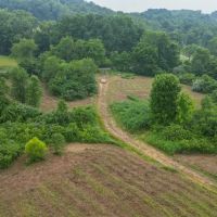 June Marshall Rd - 111 acres - Jackson County images 3