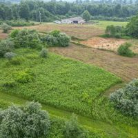 June Marshall Rd - 111 acres - Jackson County images 4