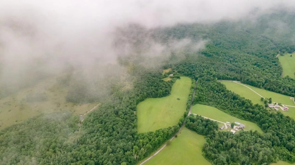 778 Wma Rd Rockwood TN featured image