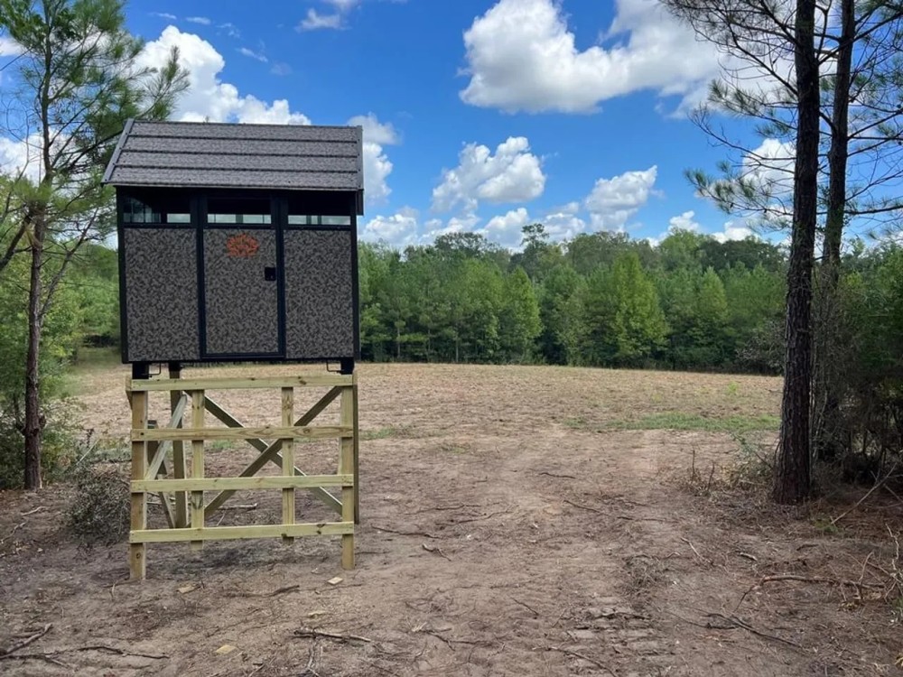 114 Acres Hunting Recreation Timber Land for Sale SW MS featured image