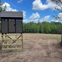 114 Acres Hunting Recreation Timber Land for Sale SW MS