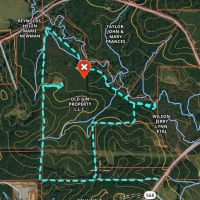 114 Acres Hunting Recreation Timber Land for Sale SW MS images 2
