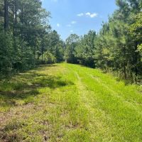 114 Acres Hunting Recreation Timber Land for Sale SW MS images 3