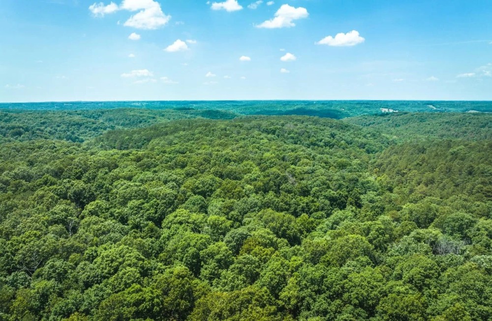 Huckleberry Ridge 25 featured image