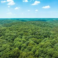 Huckleberry Ridge 25