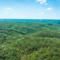 Huckleberry Ridge 25 images 3