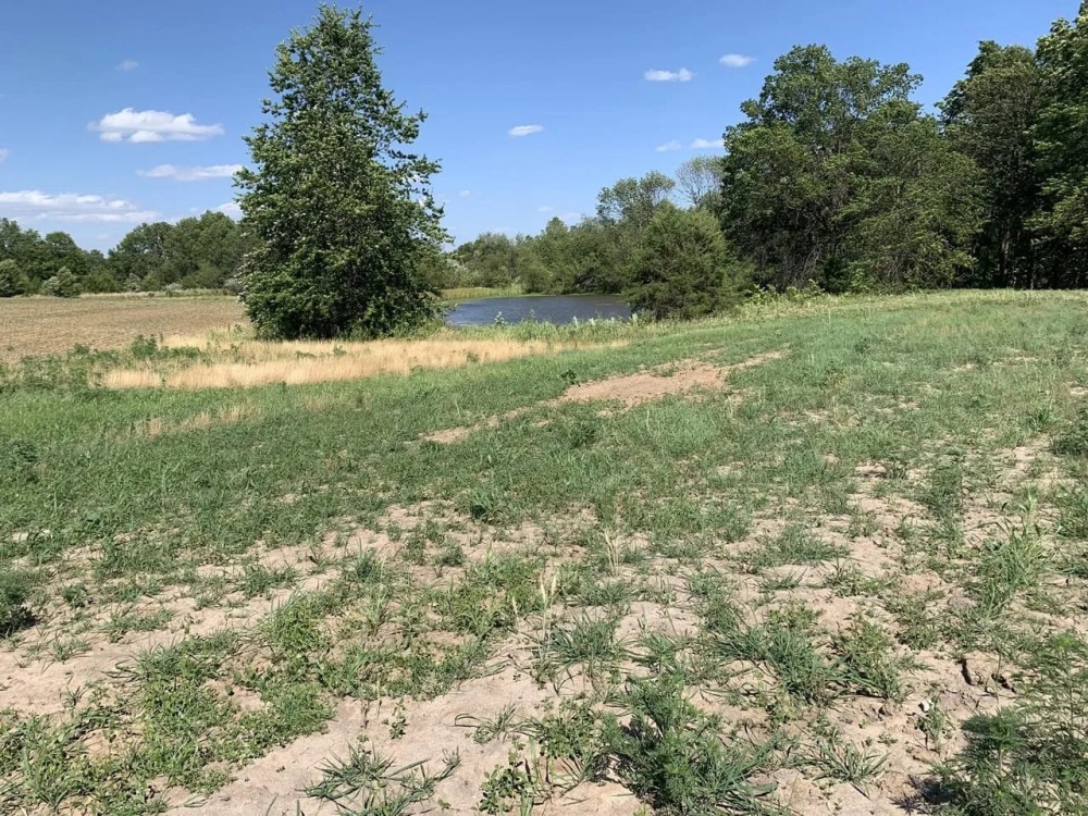 Moberly Whitetail Tract 18 featured image
