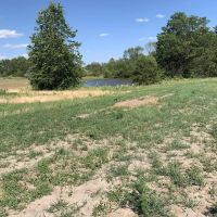 Moberly Whitetail Tract 18