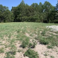 Moberly Whitetail Tract 18 images 2