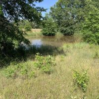 Moberly Whitetail Tract 18 images 3