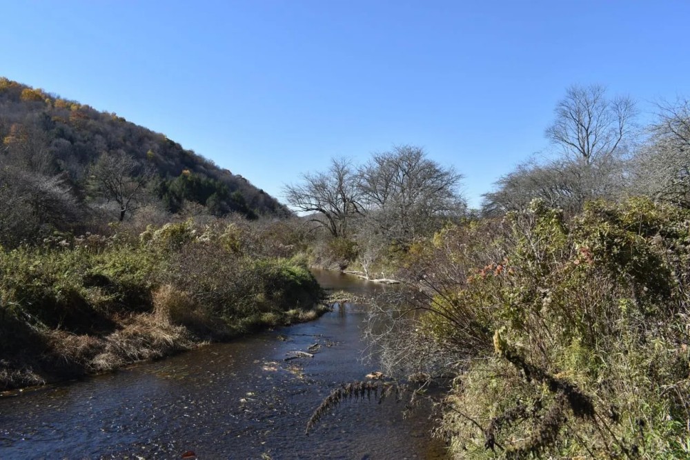 Honeoye Creek featured image