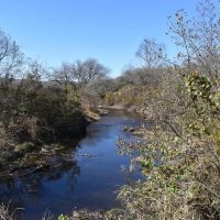 Honeoye Creek images 2