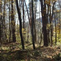 Honeoye Creek images 4