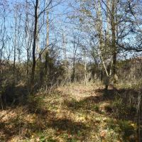 Honeoye Creek images 5
