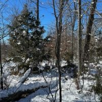 Secluded 40 images 2