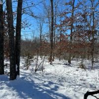 Secluded 40 images 3