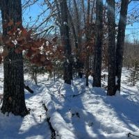 Secluded 40 images 4