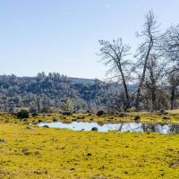 Baccala Ranch images 2